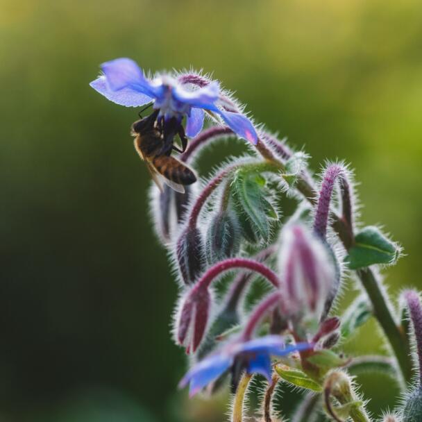 230510 Acker mit David Ernten Achilles DSF0639 54